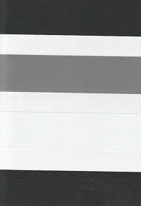 Рулонные шторы день-ночь для проема Салерно, серый 2002 купить в Долгопрудном с доставкой